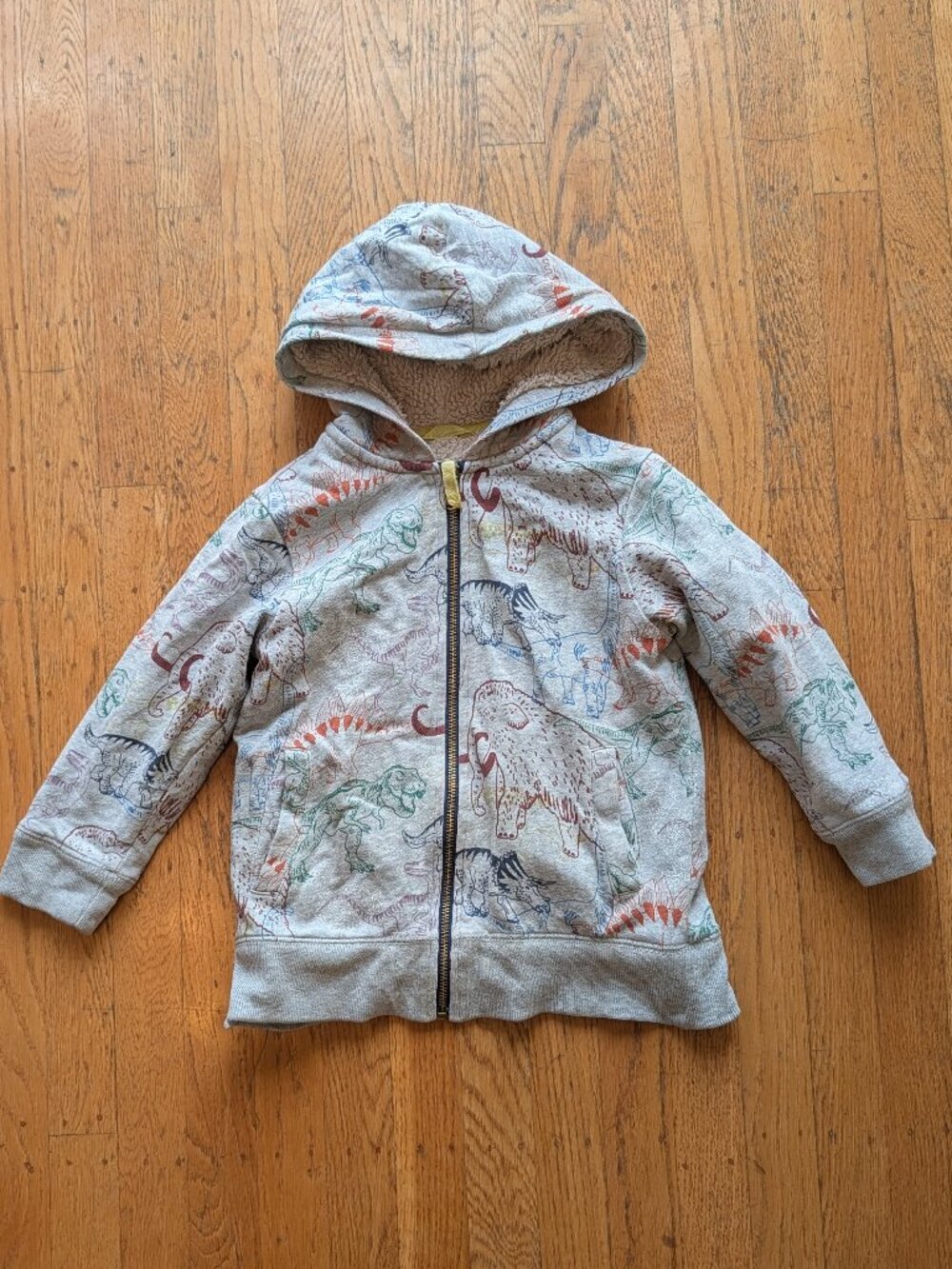 Mini Boden Extinct Animals Hoodie